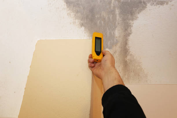 Asbestos and Lead Testing During Mold Inspection in Rockwood, MI