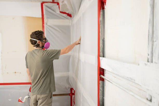 Forensic Mold Investigation in Rockwood, MI