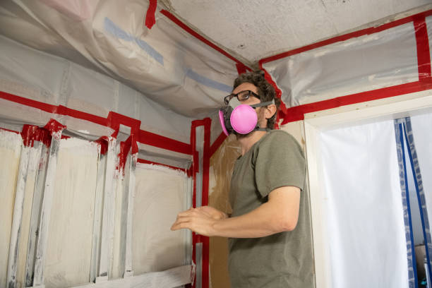 Best Post-Remediation Verification Testing  in Rockwood, MI