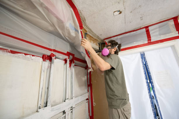 Best Residential Mold Inspection & Testing  in Rockwood, MI