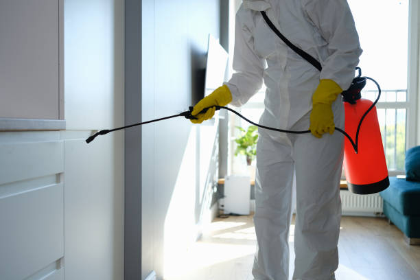 Best Emergency Mold Remediation  in Rockwood, MI