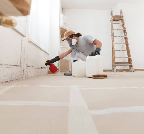 Best Real Estate Mold Inspection  in Rockwood, MI