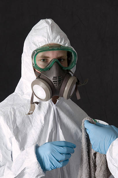 Best Attic Mold Removal  in Rockwood, MI